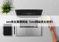 seo优化霸屏网站（seo网站优化软件）