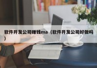 软件开发公司赚钱ma（软件开发公司好做吗）